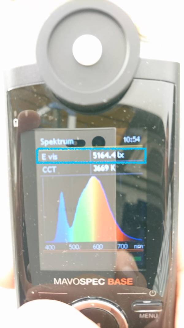 013_shinsaibashiLevis